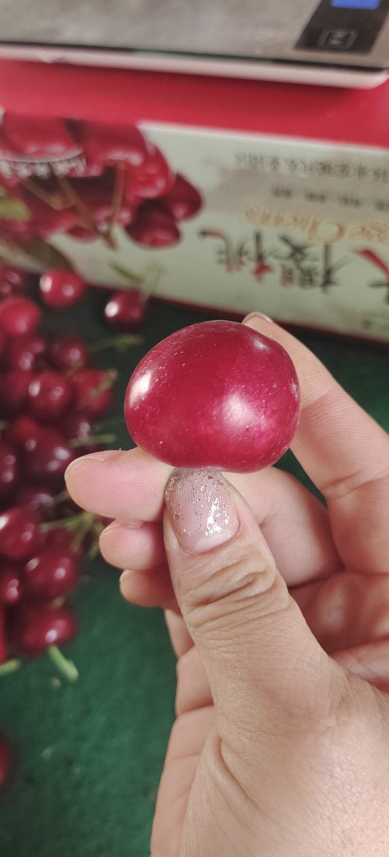 樱桃