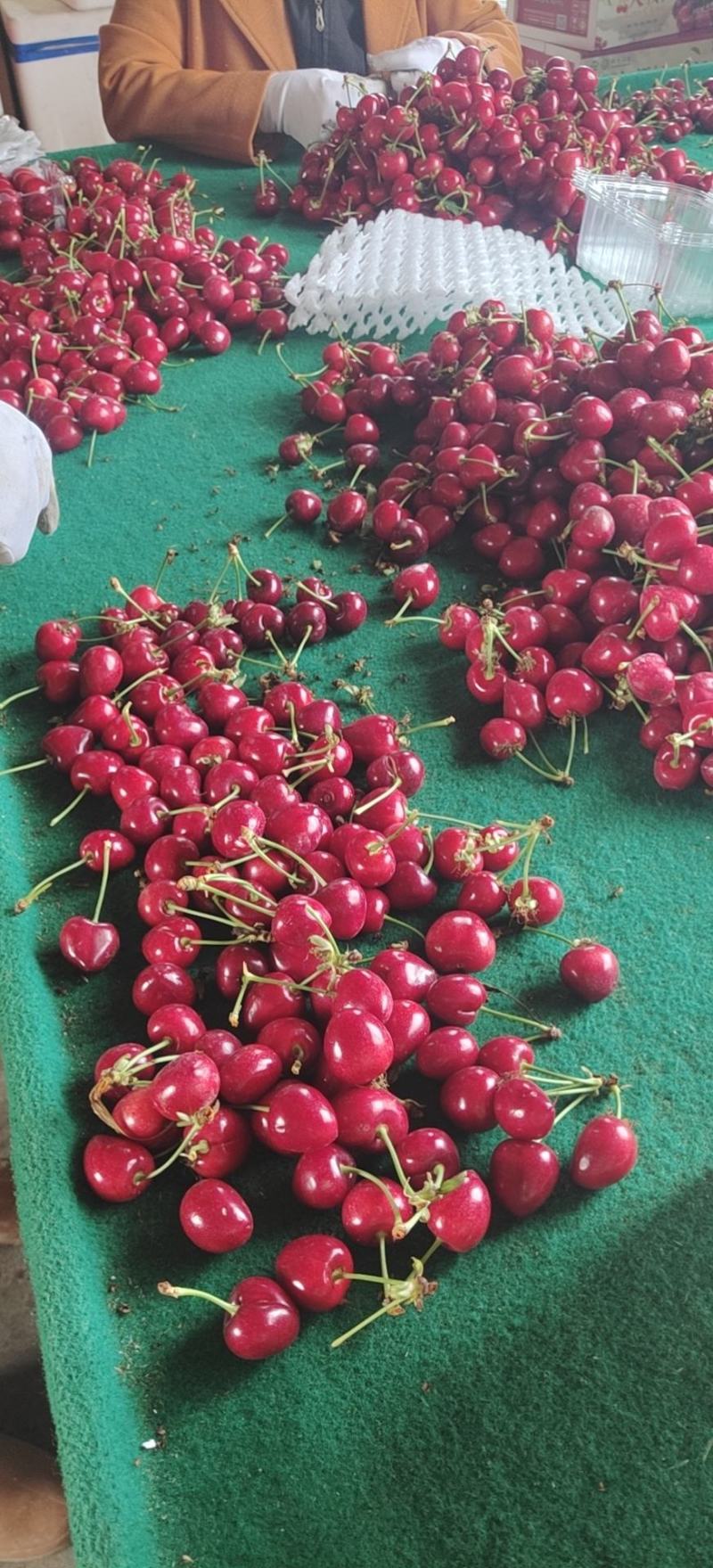 樱桃