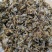 中药材蜻蜓绿蜻蜓黄蜻蜓干蜻蜓红蜻蜓黑蜻蜓药用