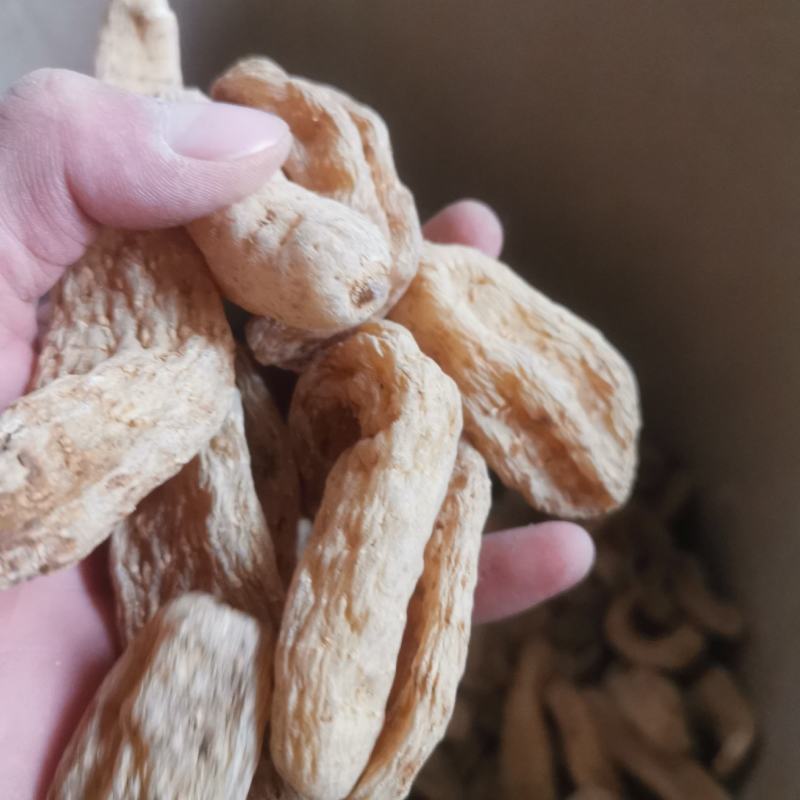中药材玻璃碴天麻无硫昭通天麻可打粉天麻粉天麻量大从优