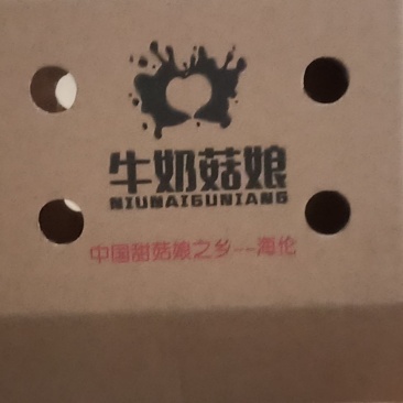 纸箱包装