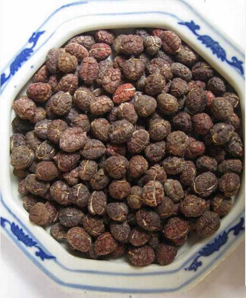 中药材砂仁净砂仁阳春砂砂仁米产地云南批发量大从优