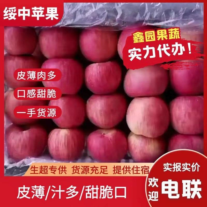 绥中红富士，生超专供，一手货源皮薄汁多甜脆口免费提供吃住