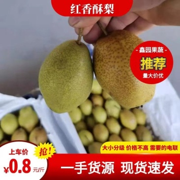 绥中冷库红香酥梨，口感特别甜，生超专供，一手货源，需要的