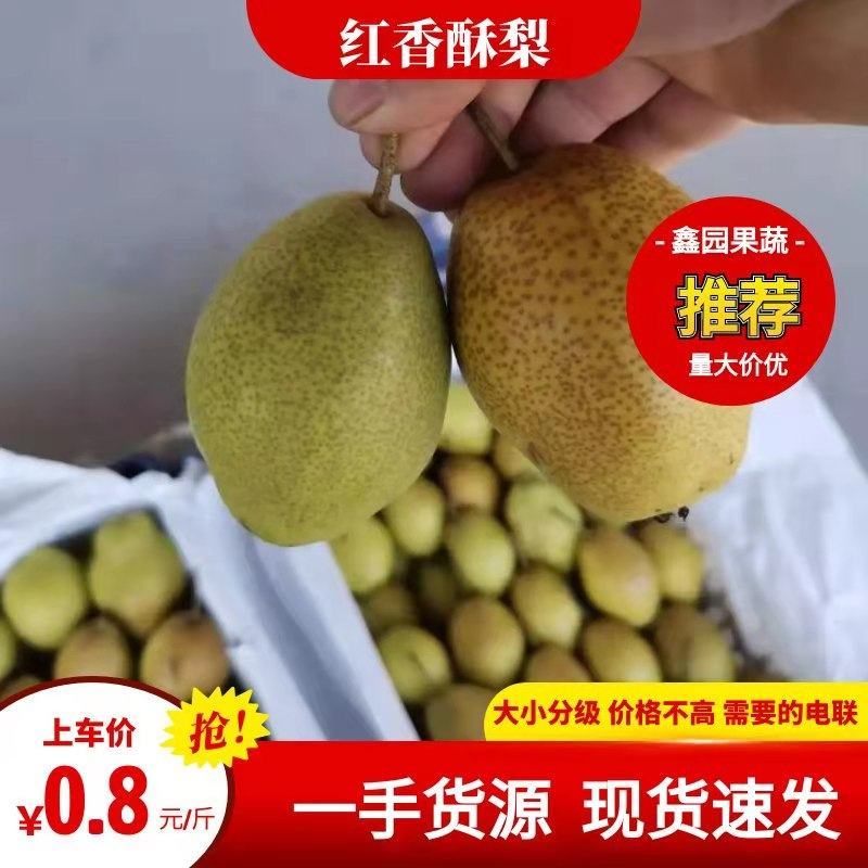 绥中冷库红香酥梨，口感特别甜，生超专供，一手货源，需要的