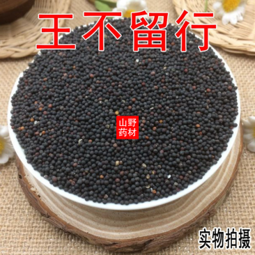 云南野生中药材王不留行500g包邮