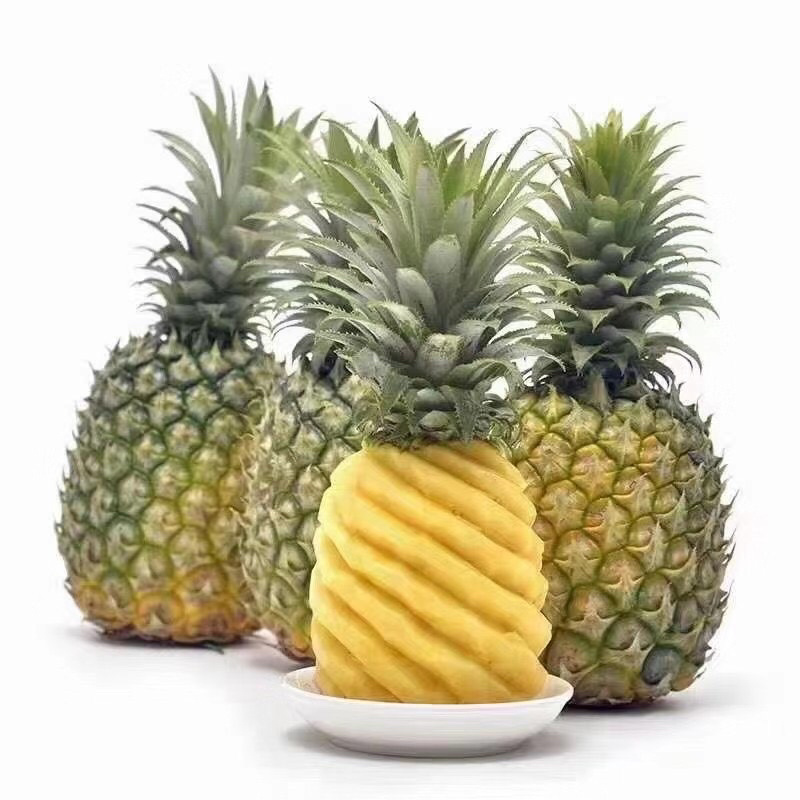 徐闻菠萝