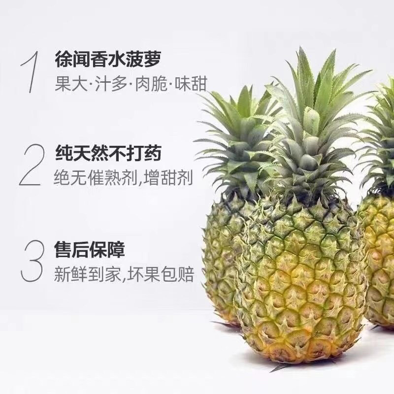 徐闻菠萝