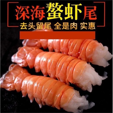 深海鳌虾尾去头鳌虾，鳌虾尾一手货源1000g