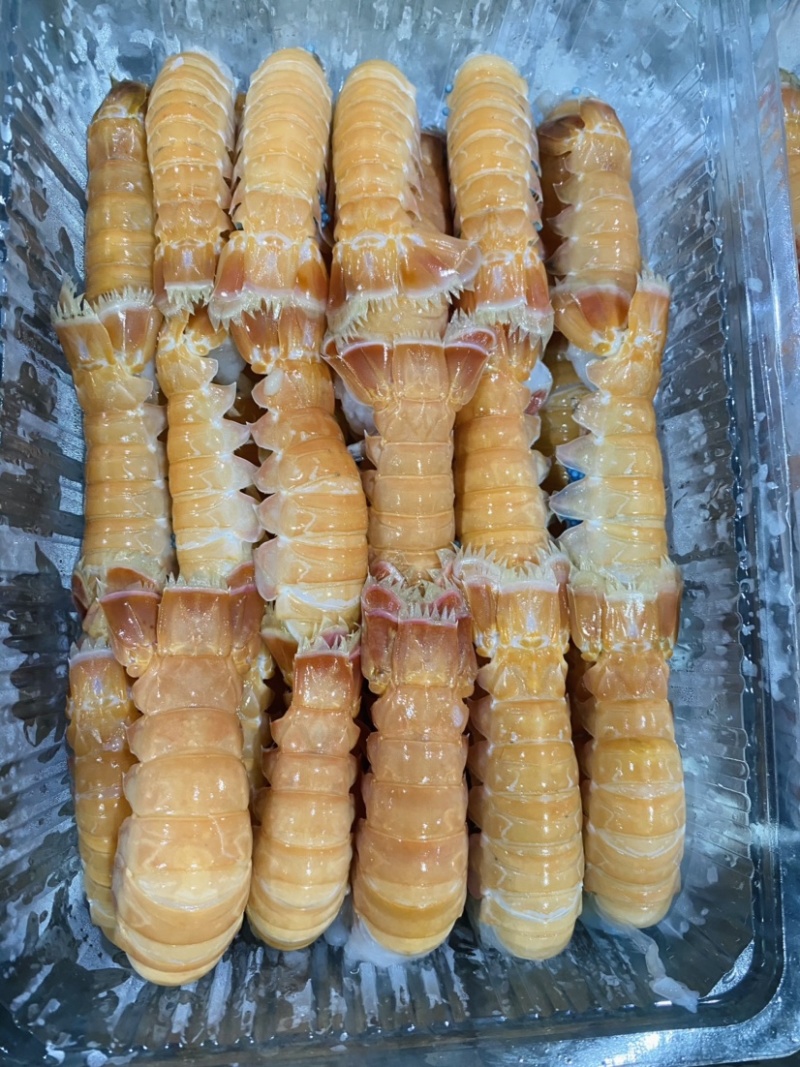 深海鳌虾尾去头鳌虾，鳌虾尾一手货源1000g