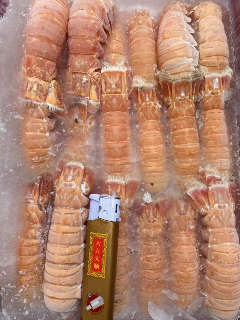 深海鳌虾尾去头鳌虾，鳌虾尾一手货源1000g