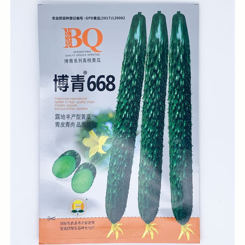 黑油亮越夏黄瓜种子青皮青肉露地黄瓜种子原袋发货20克