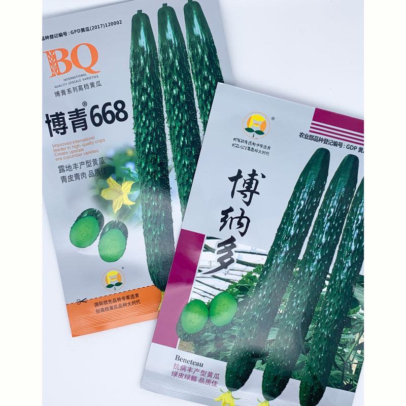 黑油亮越夏黄瓜种子青皮青肉露地黄瓜种子原袋发货20克