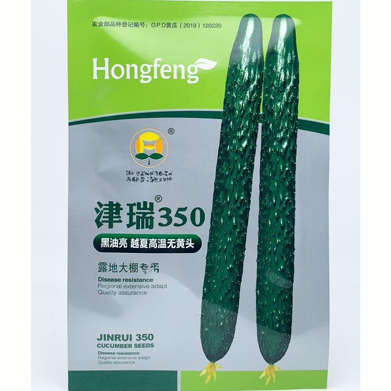 黑油亮越夏黄瓜种子青皮青肉露地黄瓜种子原袋发货20克