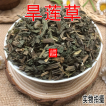 云南野生中药材旱莲草墨旱莲乌心草黑墨草