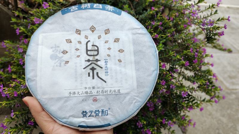 小荒田古树白茶勐库大叶种