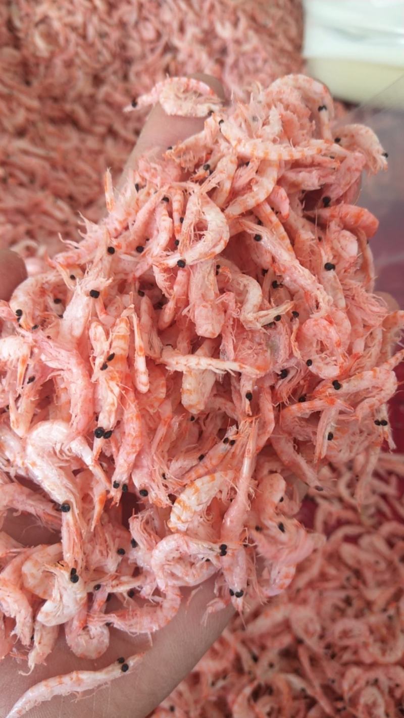 磷虾