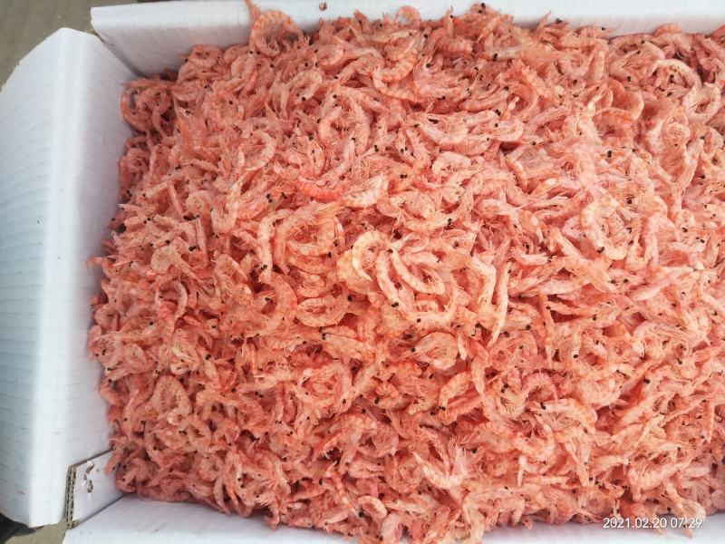 磷虾