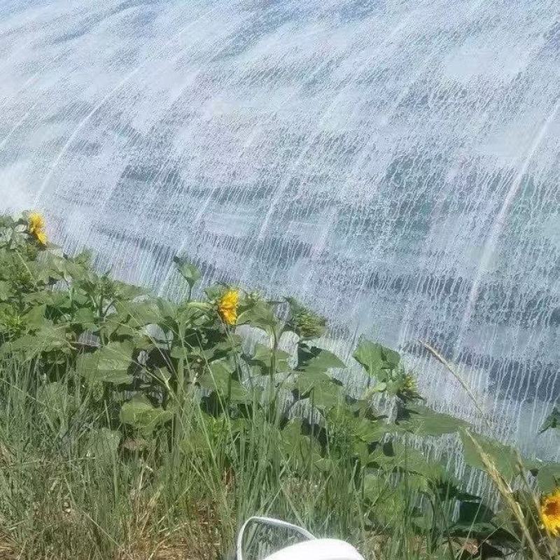 降温涂料大棚降温剂遮光隔热防晒保护剂蔬菜大专用降温剂