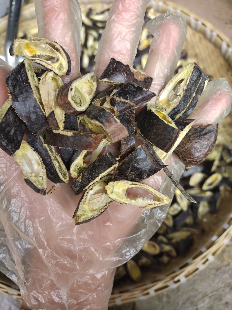 云南中药材皂角大皂角大皂荚500g包邮