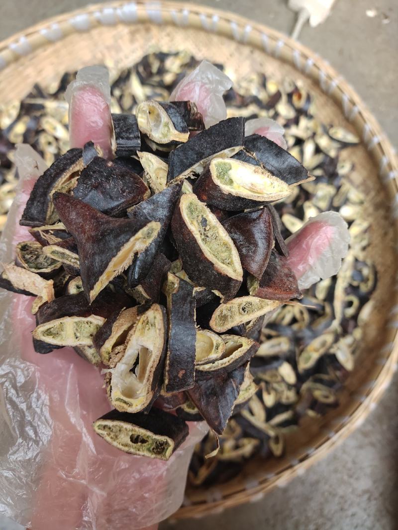 云南中药材皂角大皂角大皂荚500g包邮
