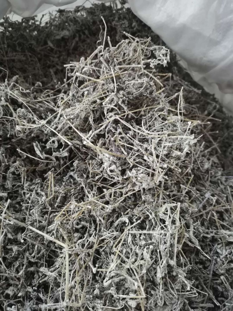 野生莓茶