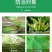 45%咪鲜胺炭疽霜霉病果树蔬菜保鲜咪鲜胺咪鲜氨咪胺鲜杀菌