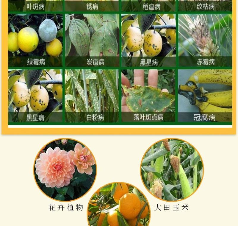 45%咪鲜胺炭疽霜霉病果树蔬菜保鲜咪鲜胺咪鲜氨咪胺鲜杀菌