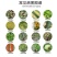45%咪鲜胺炭疽霜霉病果树蔬菜保鲜咪鲜胺咪鲜氨咪胺鲜杀菌