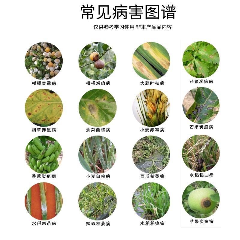 45%咪鲜胺炭疽霜霉病果树蔬菜保鲜咪鲜胺咪鲜氨咪胺鲜杀菌