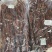 阿坝州手撕风干牦牛肉风干肉四川特产风干牛肉干休闲零食批发