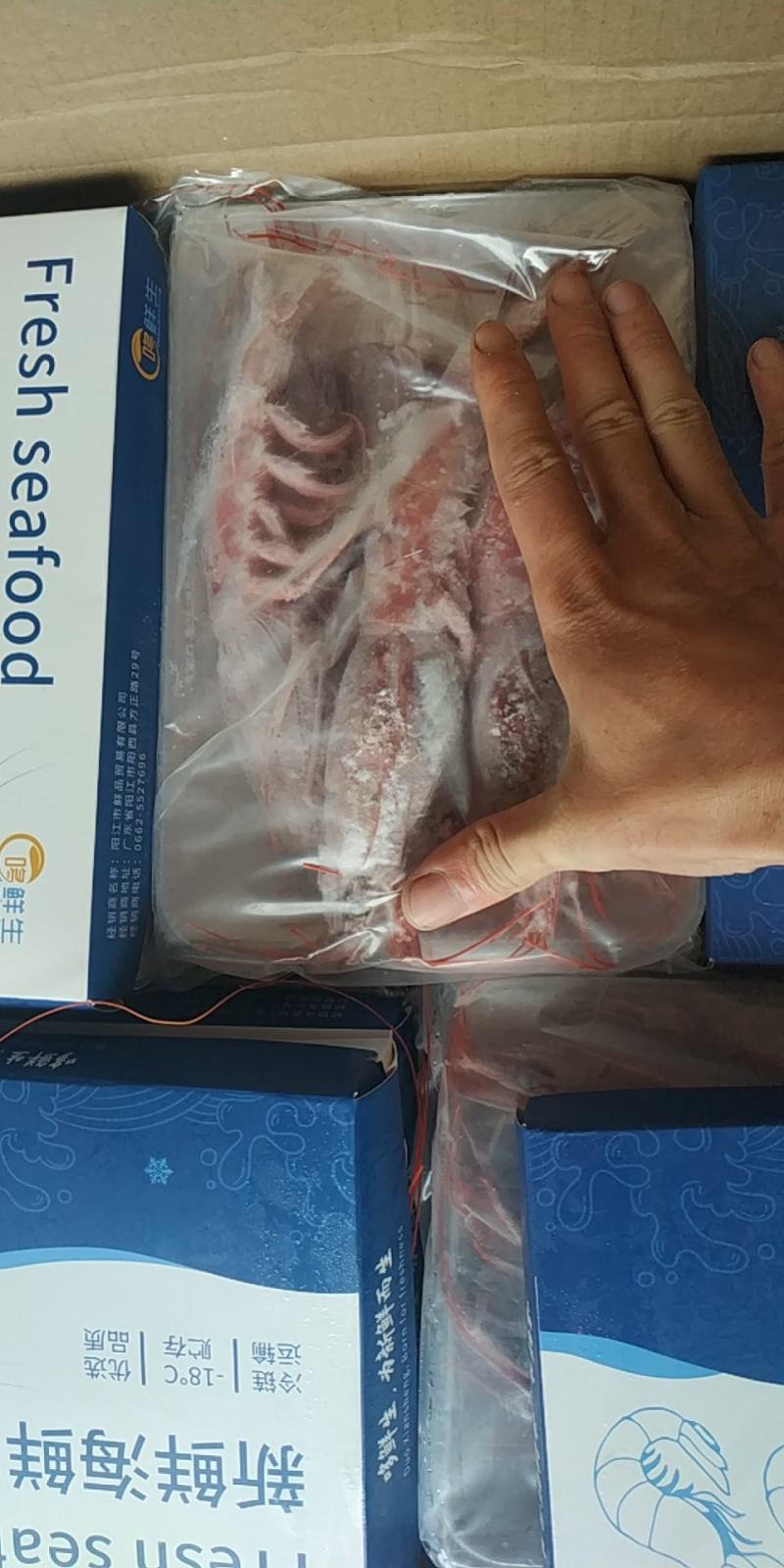下半年首批南海大红魔虾，低温冷冻，质量保证，欢迎批发零售