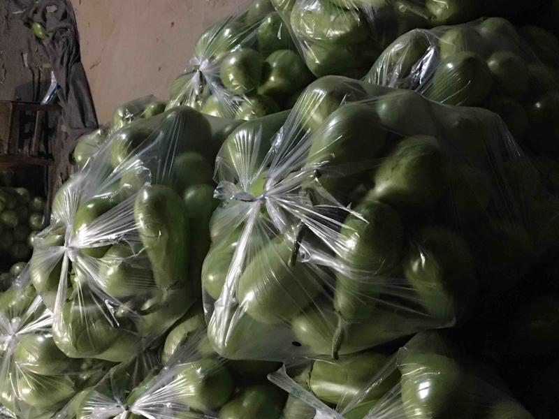 新野青茄上货量大产地直供各种蔬菜