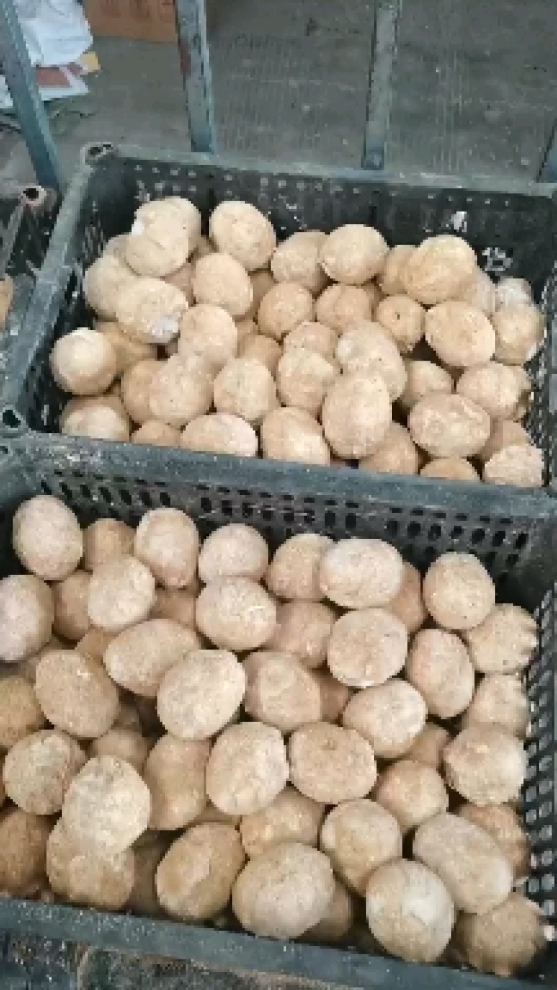 糖心松花皮蛋跑江湖地摊10元模式绿壳皮蛋散装鸡皮蛋批发