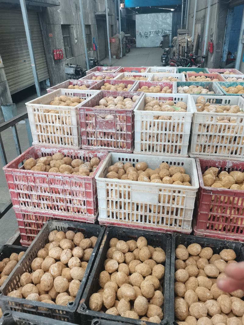 糖心松花皮蛋跑江湖地摊10元模式绿壳皮蛋散装鸡皮蛋批发