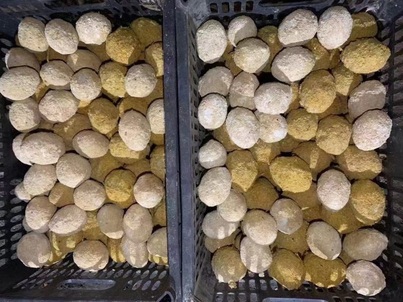 糖心松花皮蛋跑江湖地摊10元模式绿壳皮蛋散装鸡皮蛋批发
