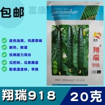 翔瑞918黄瓜种子，露地专用抗热抗高温夏季油亮绿心黑绿皮