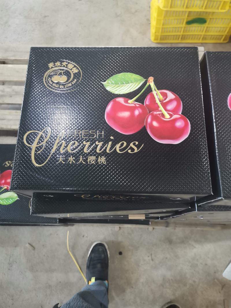 天水紫珠大樱桃