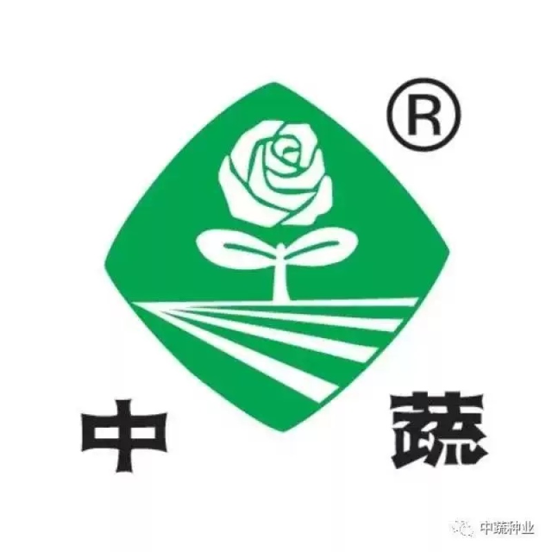 中农脆绿1号水果黄瓜种子中蔬农科院育种春秋旱黄瓜秋瓜