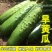 中农脆绿1号水果黄瓜种子中蔬农科院育种春秋旱黄瓜秋瓜