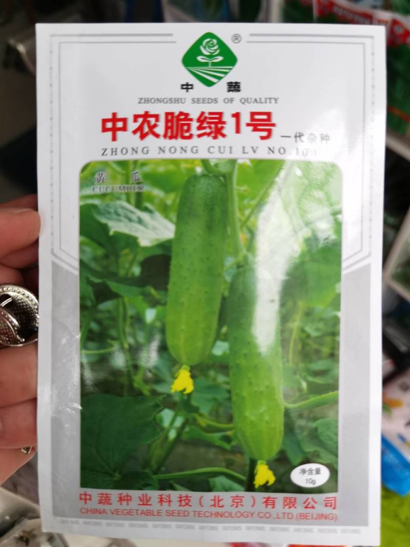 中农脆绿1号水果黄瓜种子中蔬农科院育种春秋旱黄瓜秋瓜