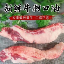 新鲜现杀牛胸口油新鲜牛胸口油朥爽脆整块牛胸口油肉火锅