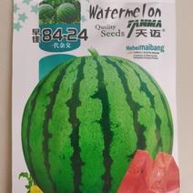 84-24杂交西瓜种子早熟品种口感清香甜
