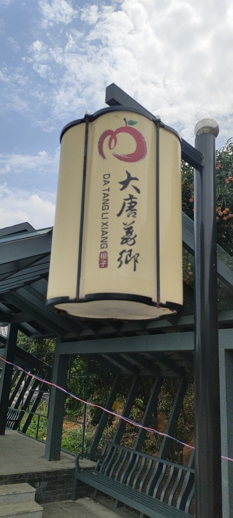 荔枝上市了，品种齐全。欢迎各位老板来人来电联系。