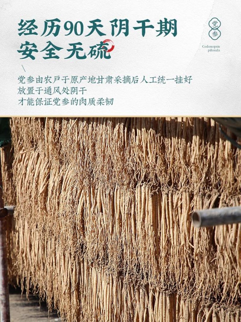 甘肃党参产地直发党参条无硫党参大条党参无硫