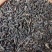 正品鼻涕虫蛞蝓干蛞蝓鼻涕虫纯清水吊杆货黑色蛞蝓干