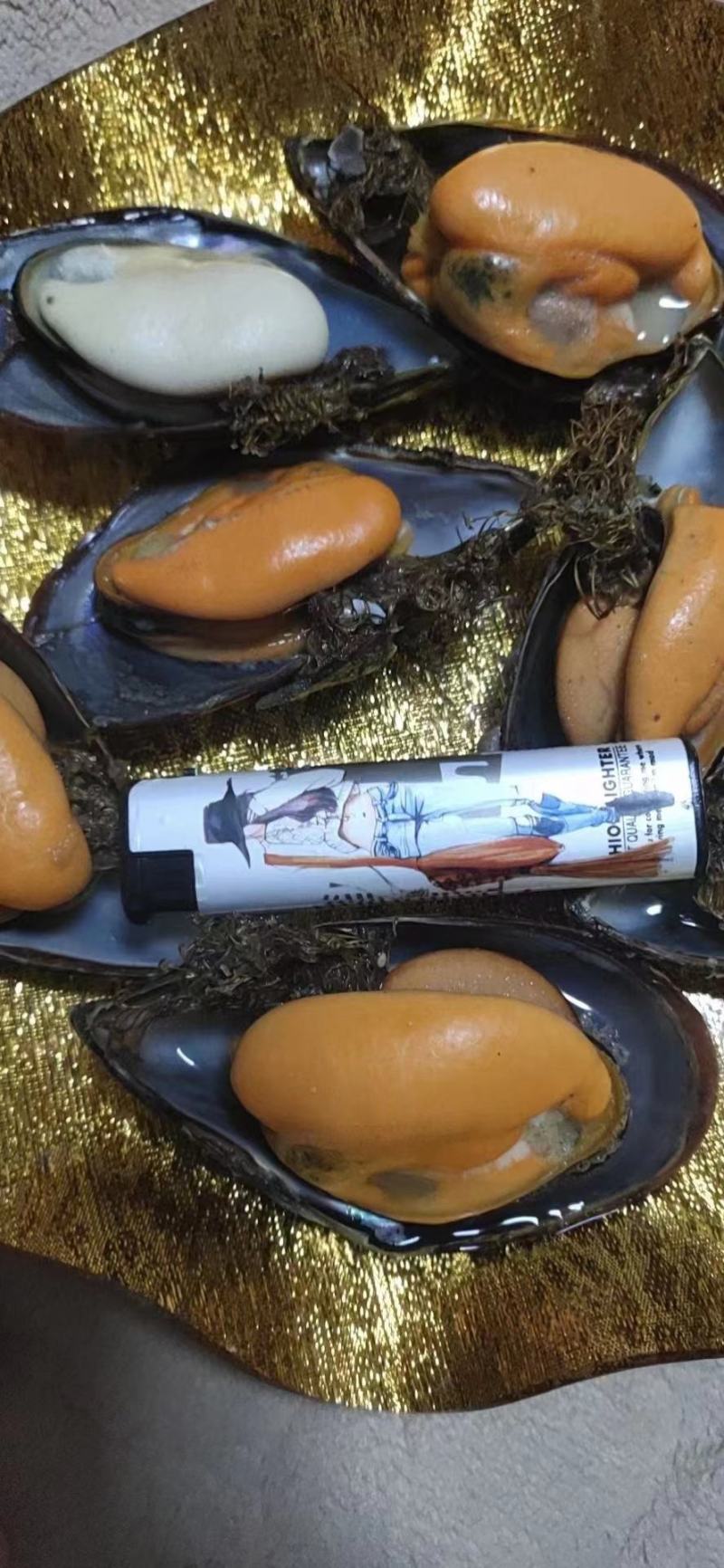 水产贝类，海虹，壳薄肉质肥满，味鲜美，量大而优