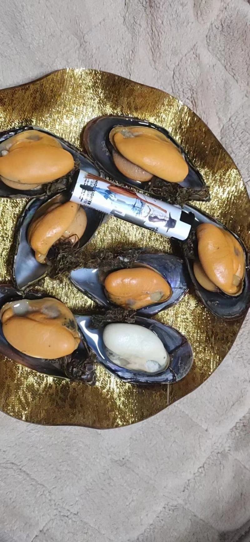 水产贝类，海虹，壳薄肉质肥满，味鲜美，量大而优