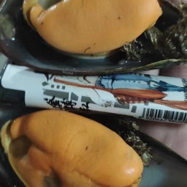 水产贝类，海虹，壳薄肉质肥满，味鲜美，量大而优