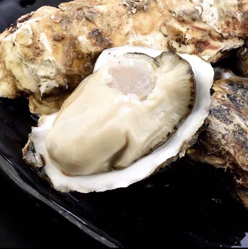精品乳生蚝，常年供应，肉肥而多汁，欢迎咨询订购
